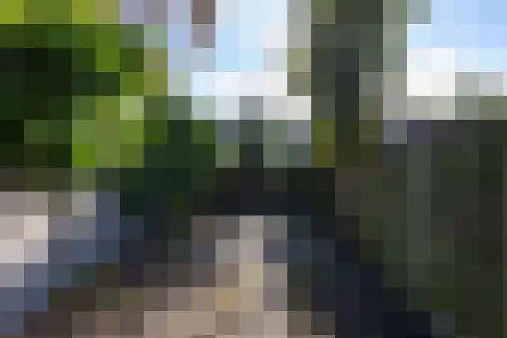 Wassenaerlaan 6 Tilburg thumbnail 36