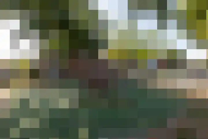 Wassenaerlaan 6 Tilburg thumbnail 39