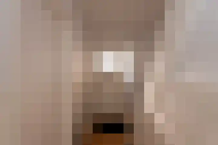 Wassenaerlaan 6 Tilburg thumbnail 4