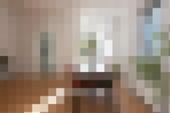 Wassenaerlaan 6 Tilburg thumbnail 8