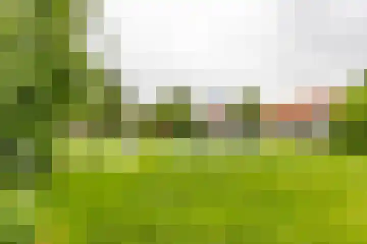 Wassenberghstraat 12 Sneek thumbnail 10
