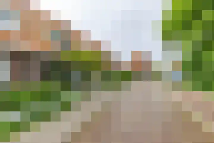 Wassenberghstraat 12 Sneek thumbnail 12