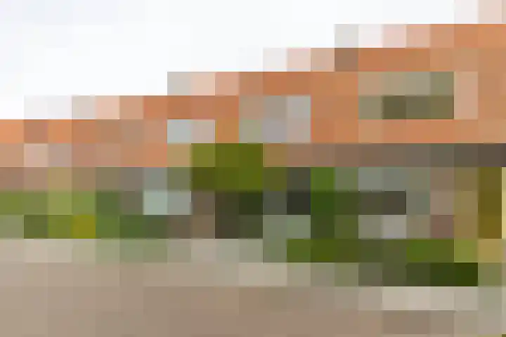 Wassenberghstraat 12 Sneek thumbnail 14