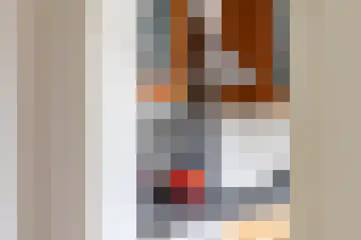 Wassenberghstraat 12 Sneek thumbnail 25