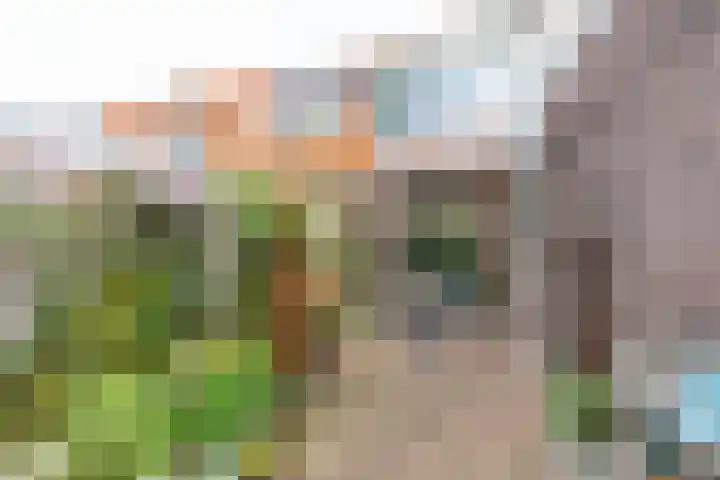 Wassenberghstraat 12 Sneek thumbnail 33