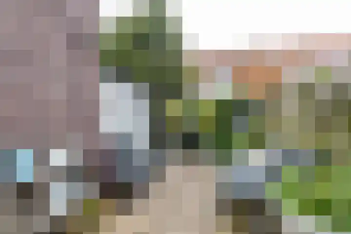 Wassenberghstraat 12 Sneek thumbnail 37