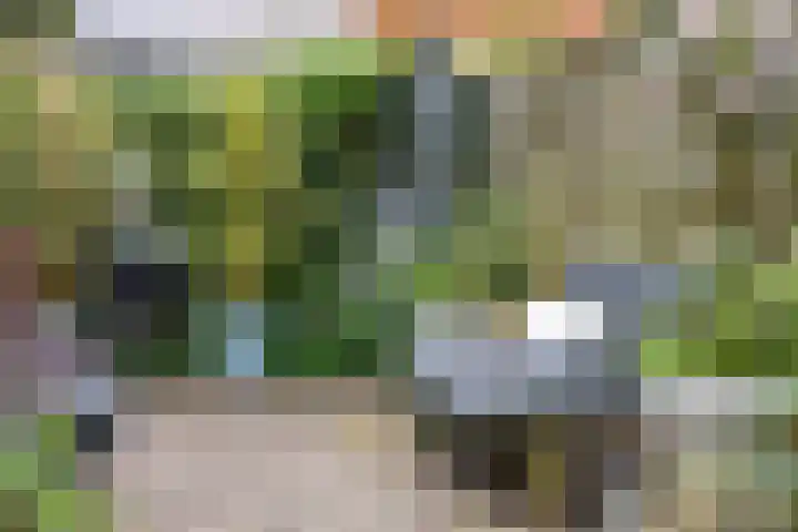 Wassenberghstraat 12 Sneek thumbnail 38