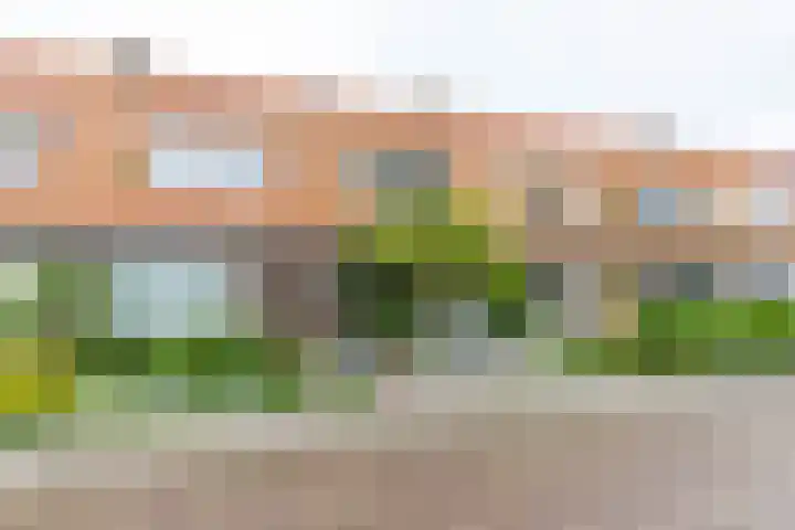 Wassenberghstraat 12 Sneek thumbnail 6