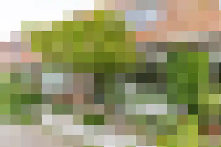 Wassenberghstraat 12 Sneek thumbnail 8