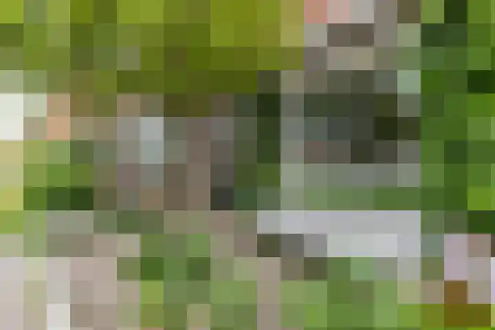 Wassenberghstraat 12 Sneek thumbnail 9