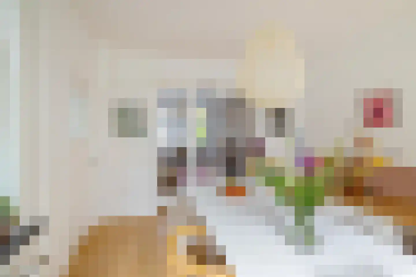 Wassenberghstraat 18 Groningen thumbnail 20