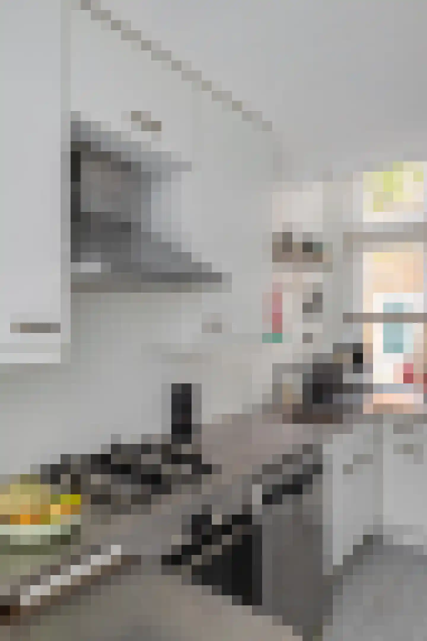 Wassenberghstraat 18 Groningen thumbnail 23