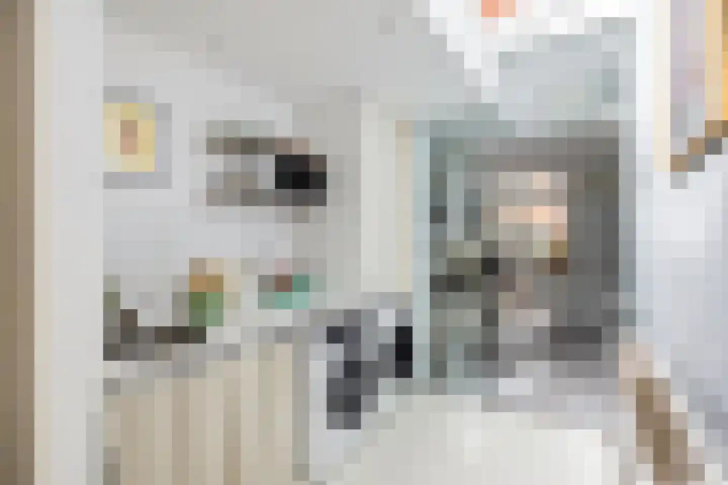 Wassenberghstraat 18 Groningen thumbnail 25