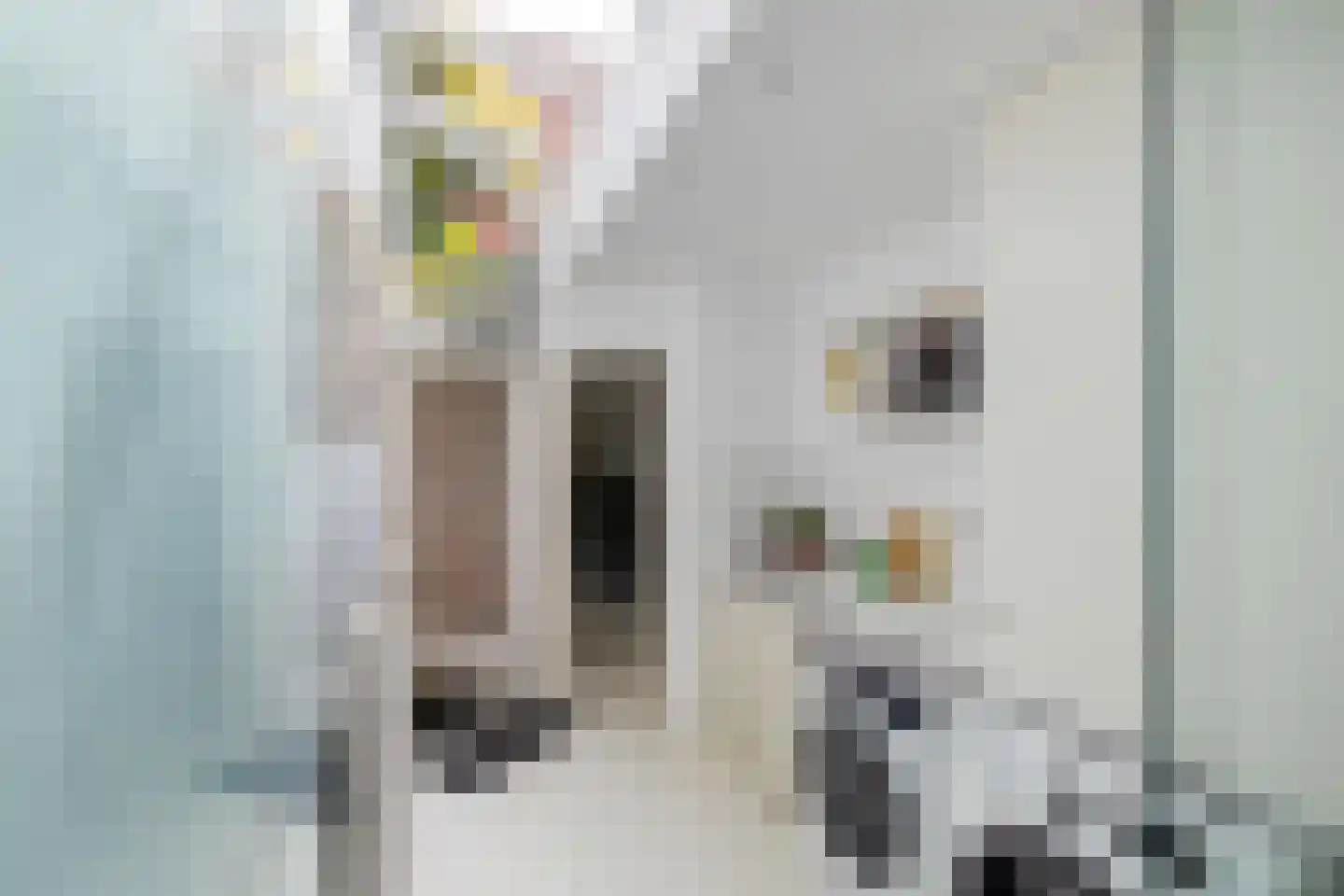 Wassenberghstraat 18 Groningen thumbnail 26