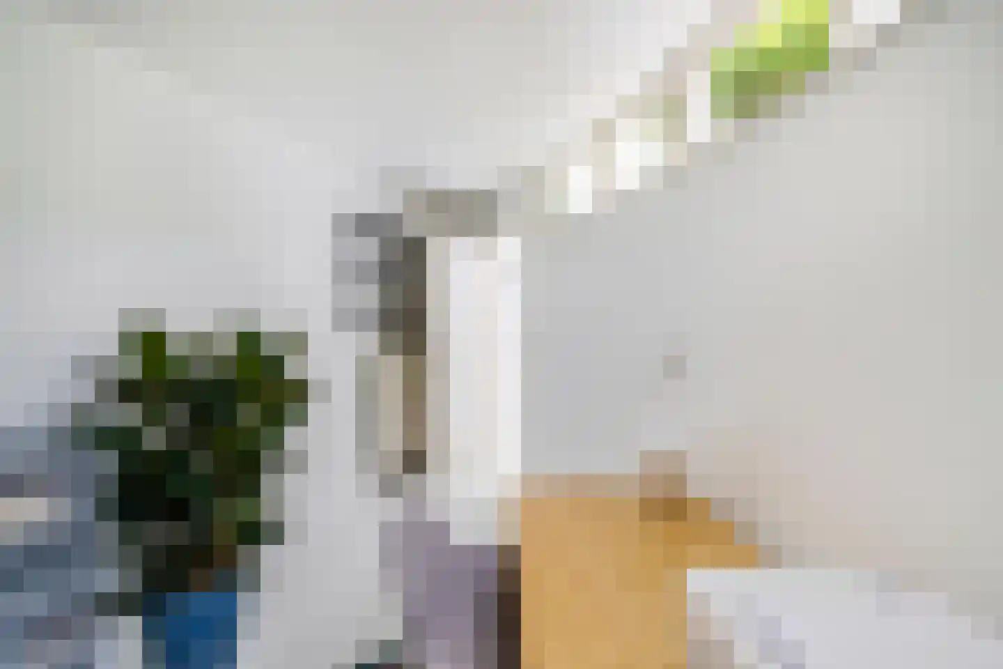 Wassenberghstraat 18 Groningen thumbnail 29