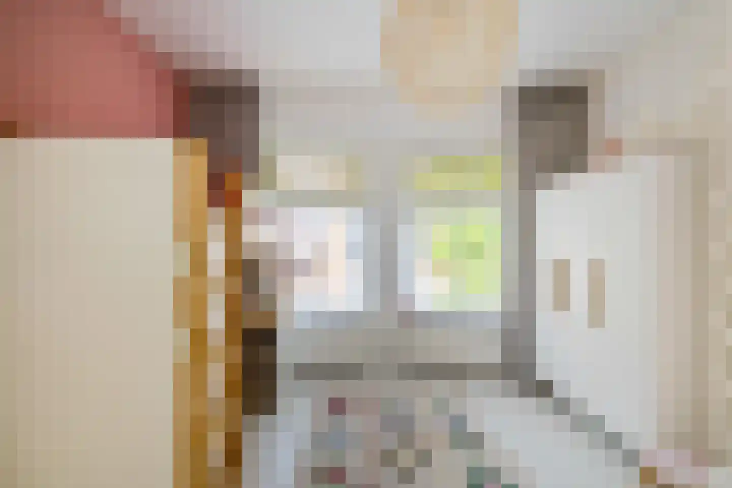 Wassenberghstraat 18 Groningen thumbnail 39