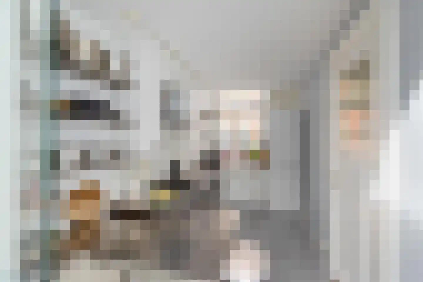 Wassenberghstraat 18 Groningen thumbnail 4