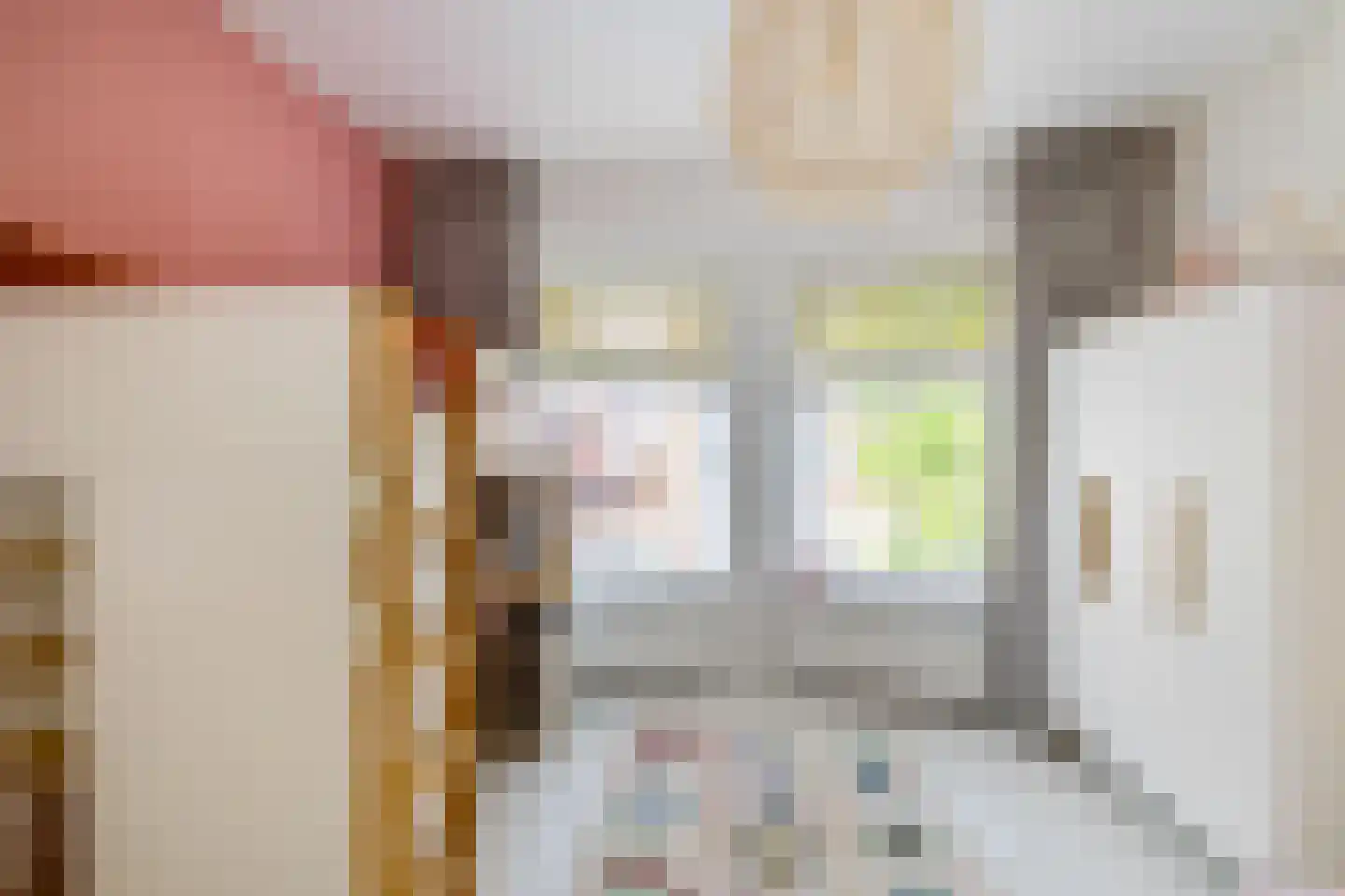 Wassenberghstraat 18 Groningen thumbnail 40