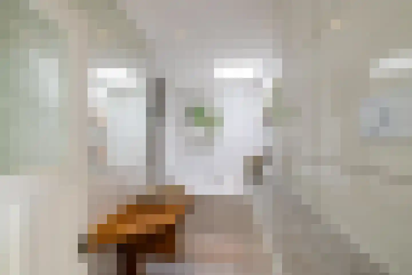 Wassenberghstraat 18 Groningen thumbnail 44