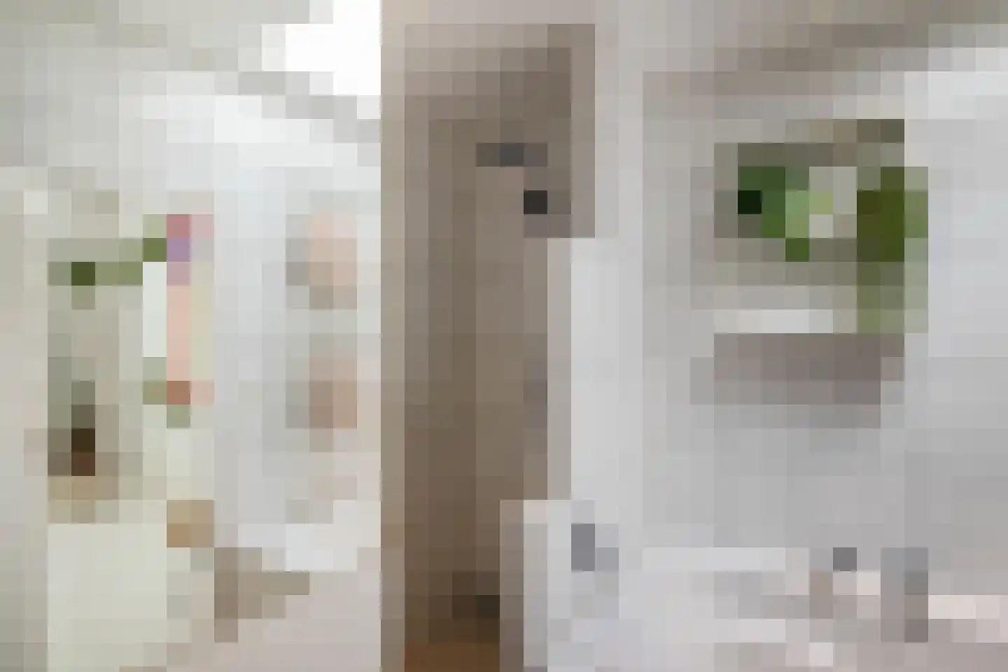 Wassenberghstraat 18 Groningen thumbnail 45