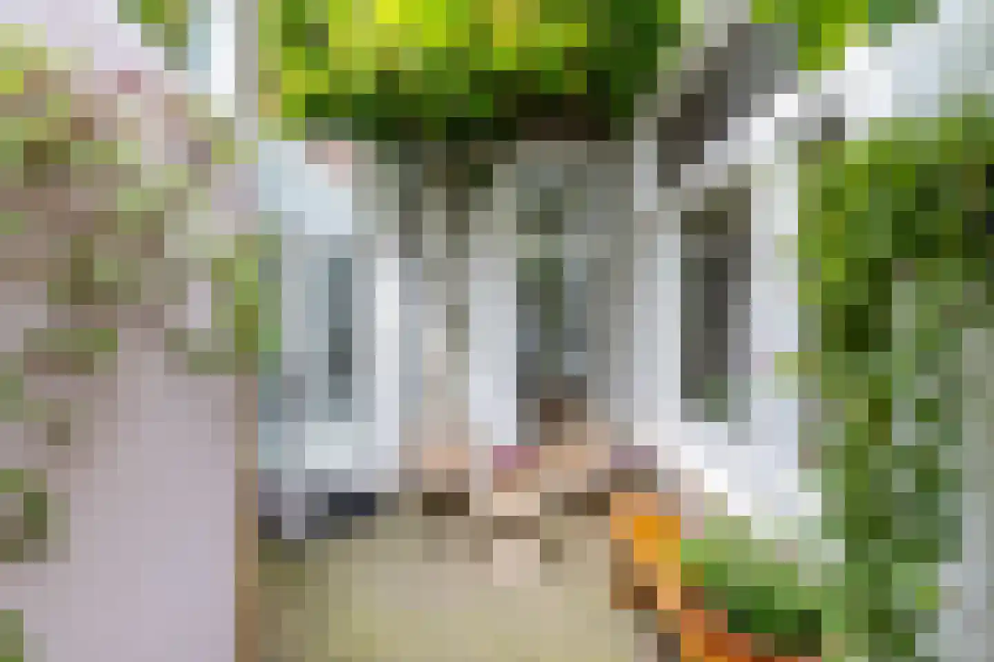 Wassenberghstraat 18 Groningen thumbnail 47