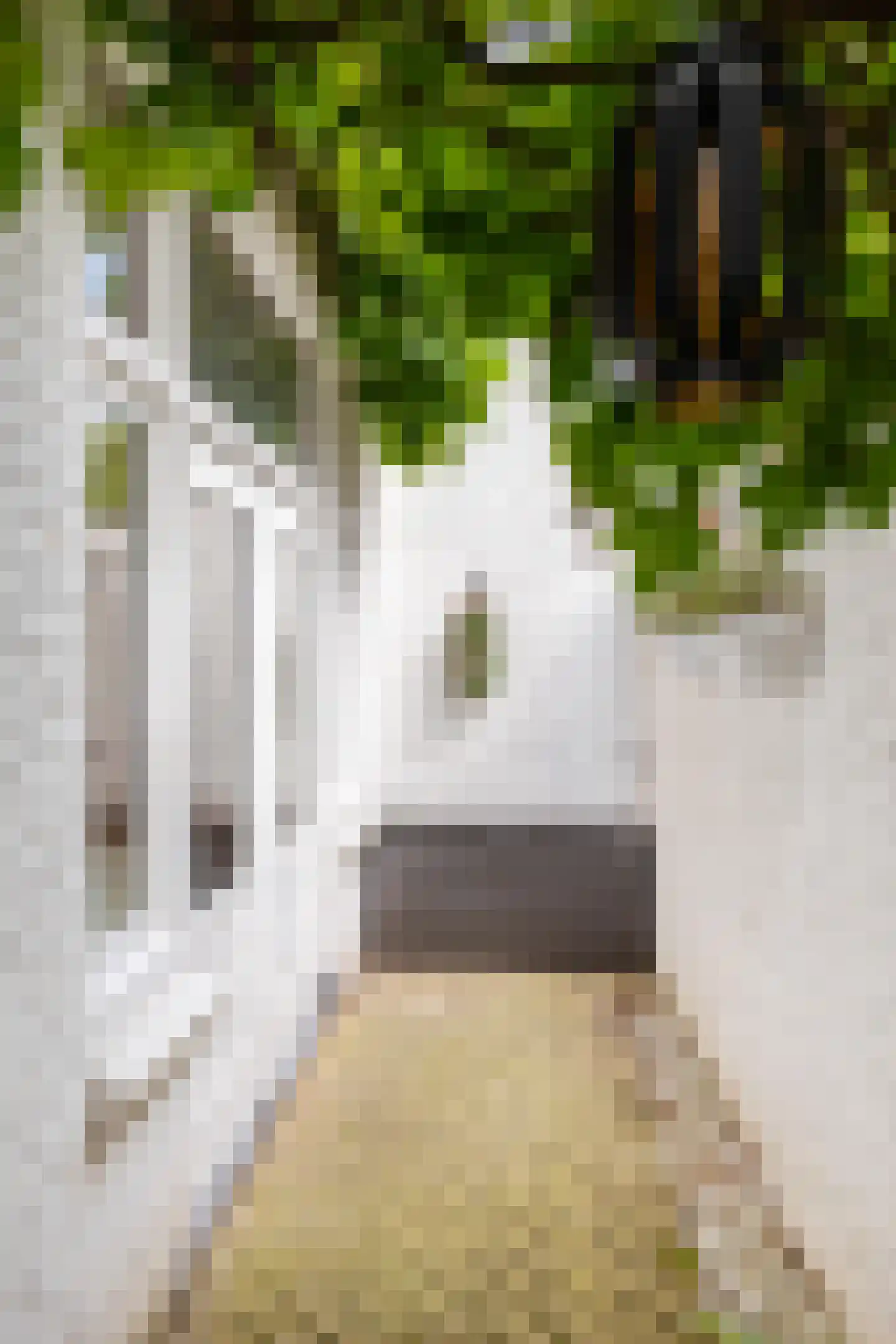 Wassenberghstraat 18 Groningen thumbnail 49