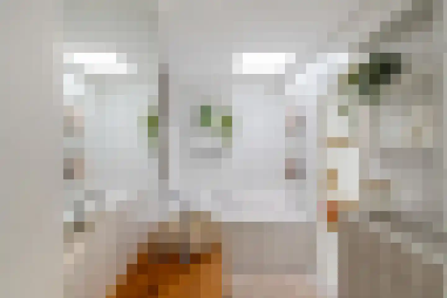 Wassenberghstraat 18 Groningen thumbnail 5