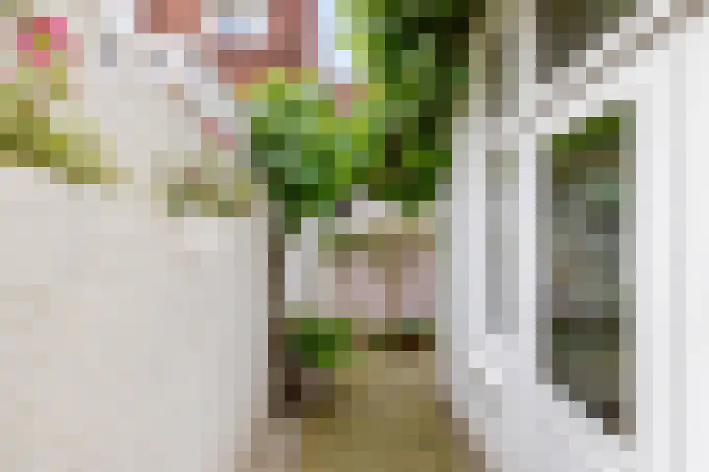 Wassenberghstraat 18 Groningen thumbnail 50