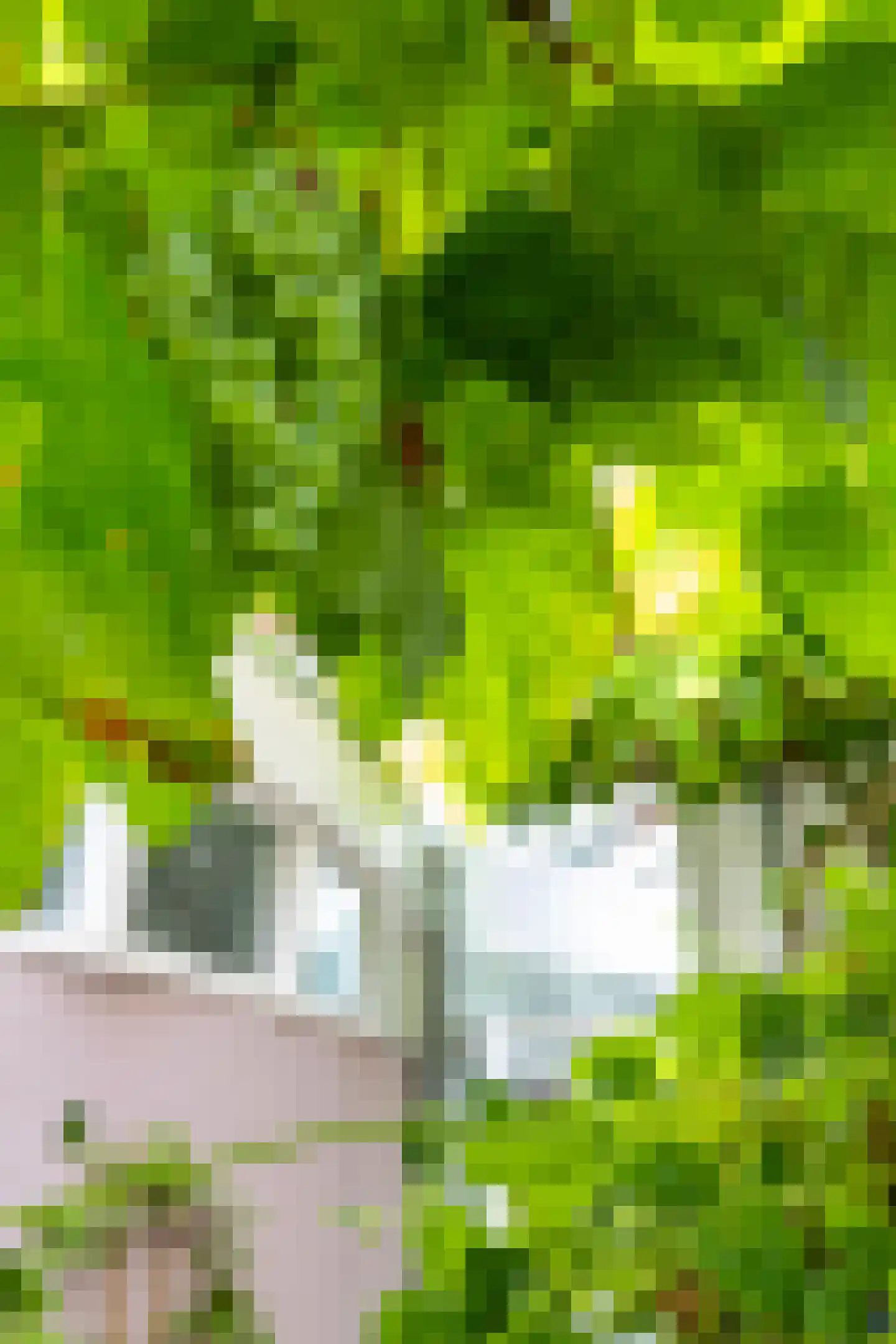 Wassenberghstraat 18 Groningen thumbnail 53