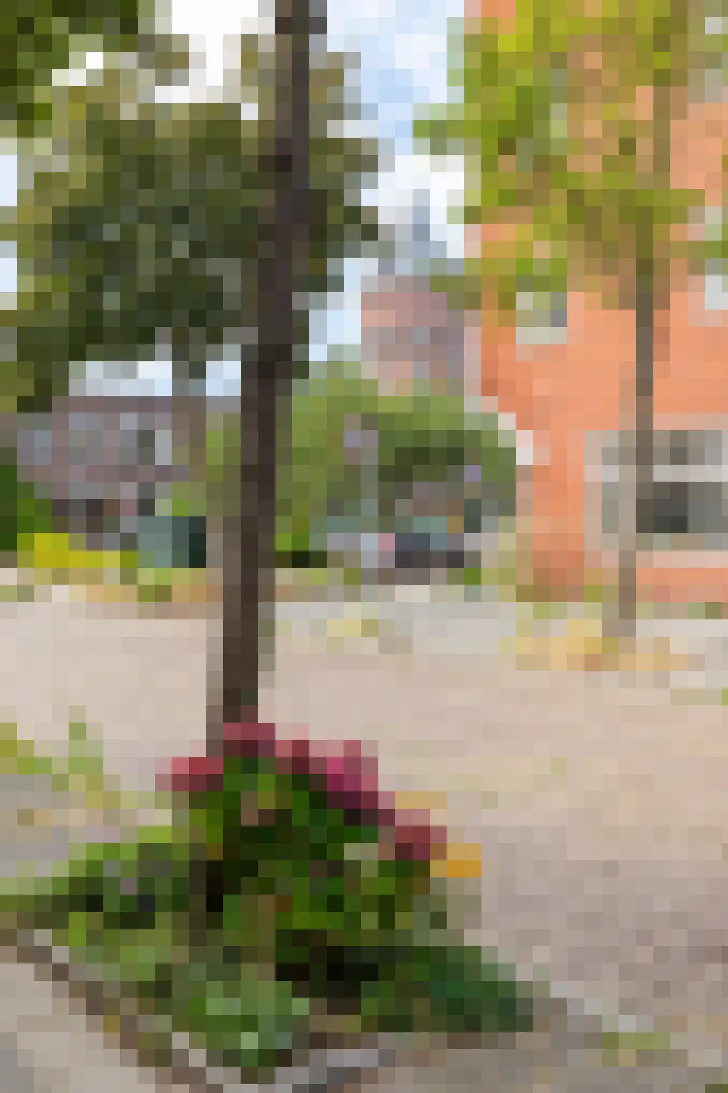 Wassenberghstraat 18 Groningen thumbnail 58
