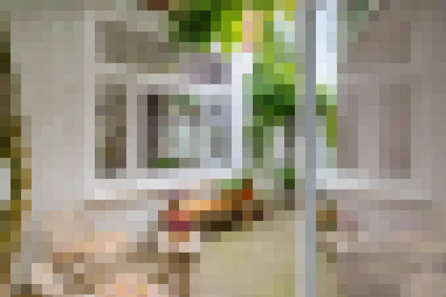 Wassenberghstraat 18 Groningen thumbnail 6
