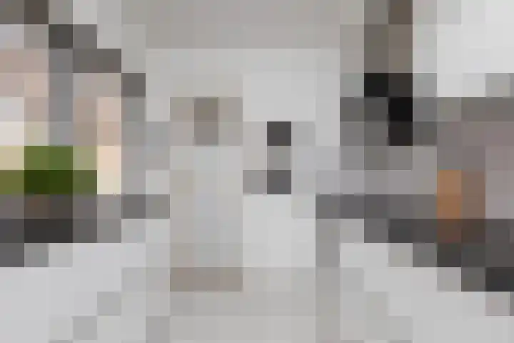 Wassenberghstraat 18 Sneek thumbnail 10