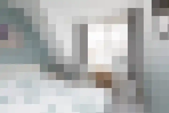 Wassenberghstraat 18 Sneek thumbnail 18