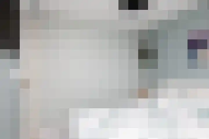 Wassenberghstraat 18 Sneek thumbnail 19