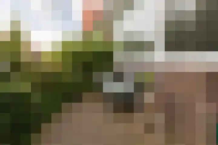 Wassenberghstraat 18 Sneek thumbnail 34