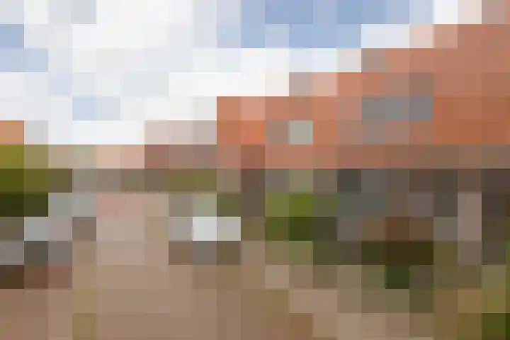 Wassenberghstraat 18 Sneek thumbnail 36