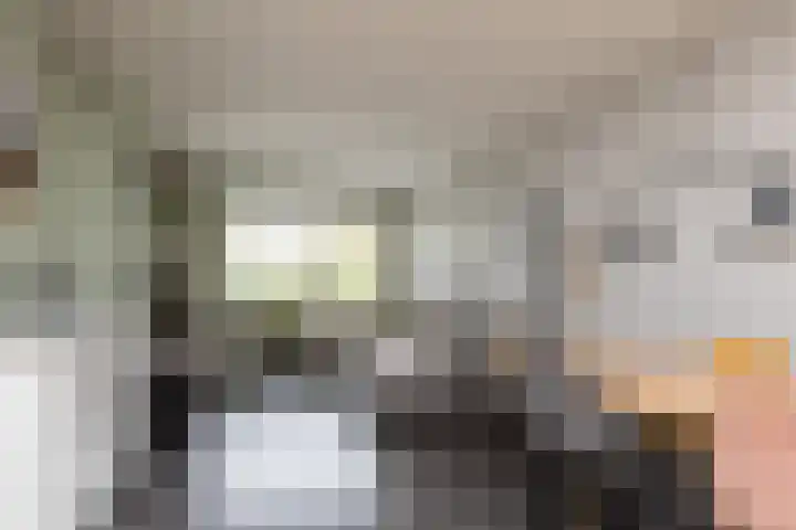 Wassenberghstraat 18 Sneek thumbnail 7