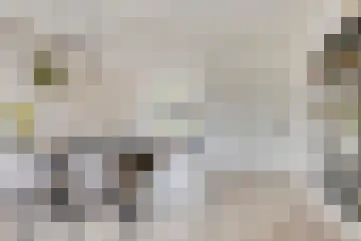 Wassenberghstraat 29 Sneek thumbnail 11