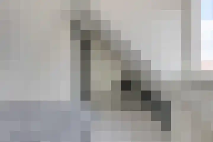 Wassenberghstraat 29 Sneek thumbnail 29