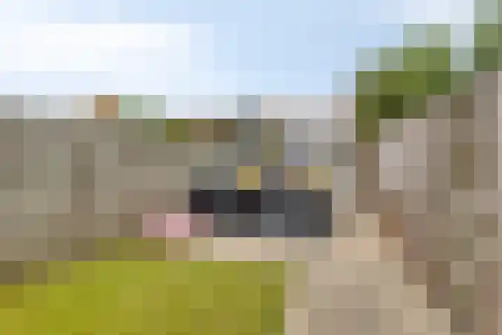 Wassenberghstraat 29 Sneek thumbnail 32