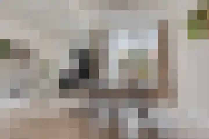 Wassenberghstraat 29 Sneek thumbnail 8