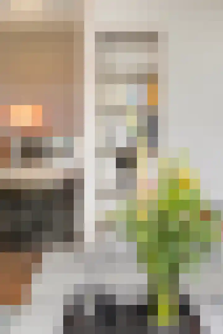 Wassenberghstraat 38 b Groningen thumbnail 10