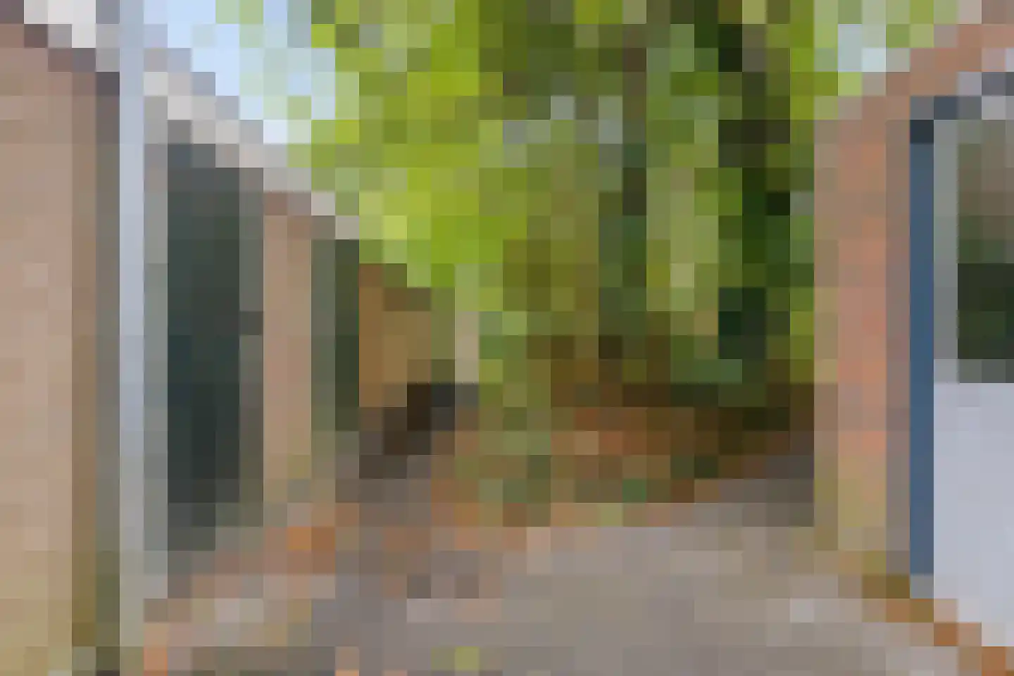 Wassenberghstraat 59 a Groningen thumbnail 37