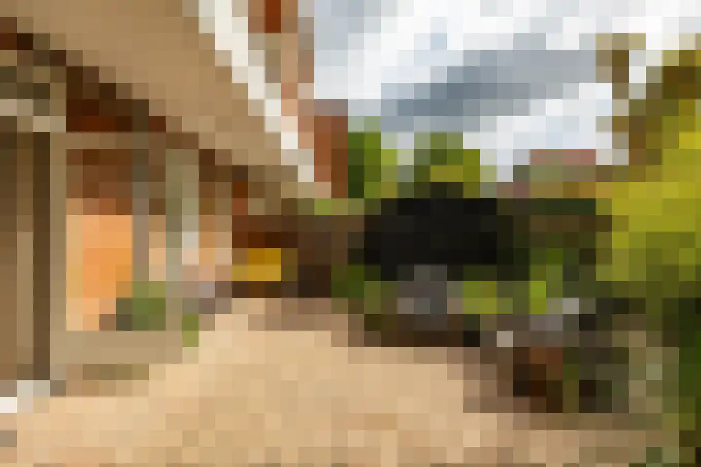 Wassenberghstraat 66 Groningen thumbnail 27