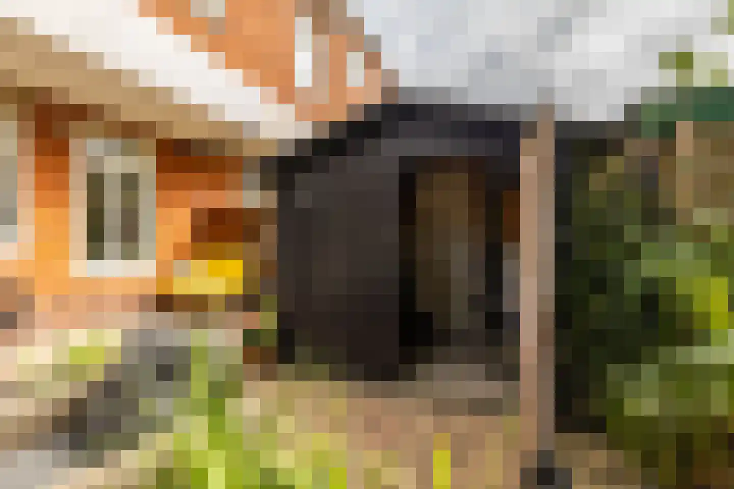 Wassenberghstraat 66 Groningen thumbnail 30