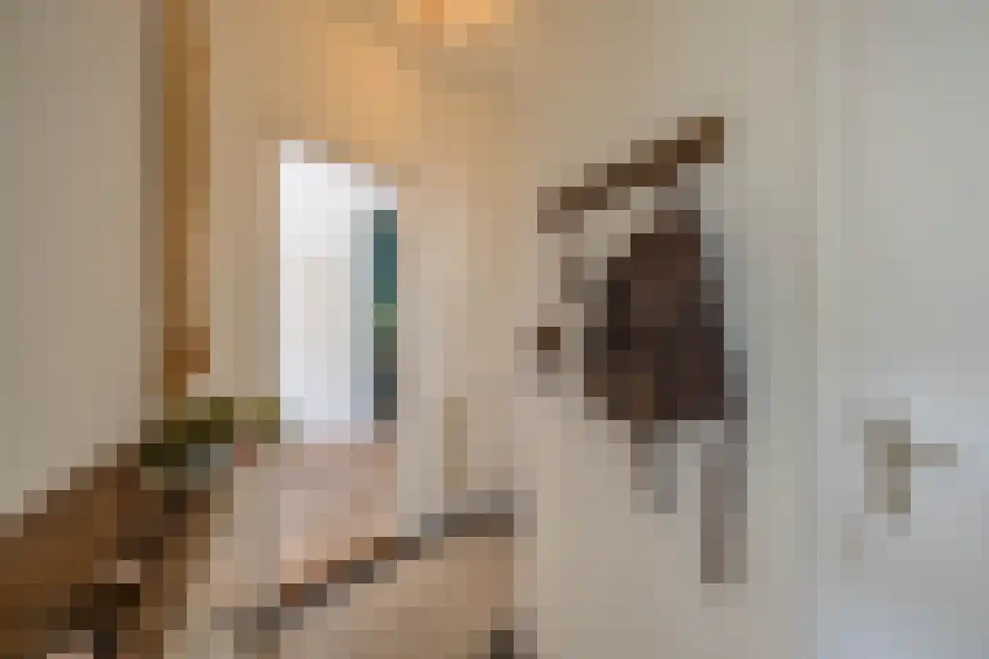Wassenberghstraat 66 Groningen thumbnail 6