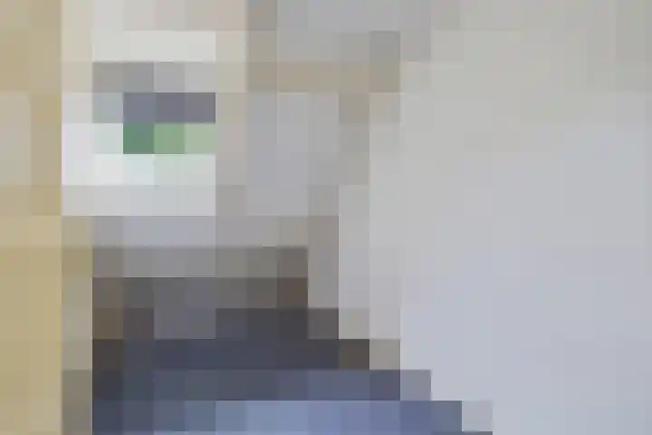 Wassenberghstraat 8 Sneek thumbnail 17