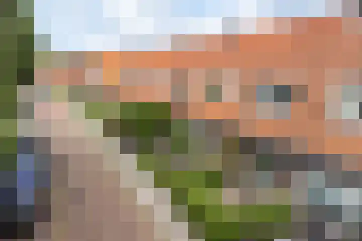 Wassenberghstraat 8 Sneek thumbnail 27