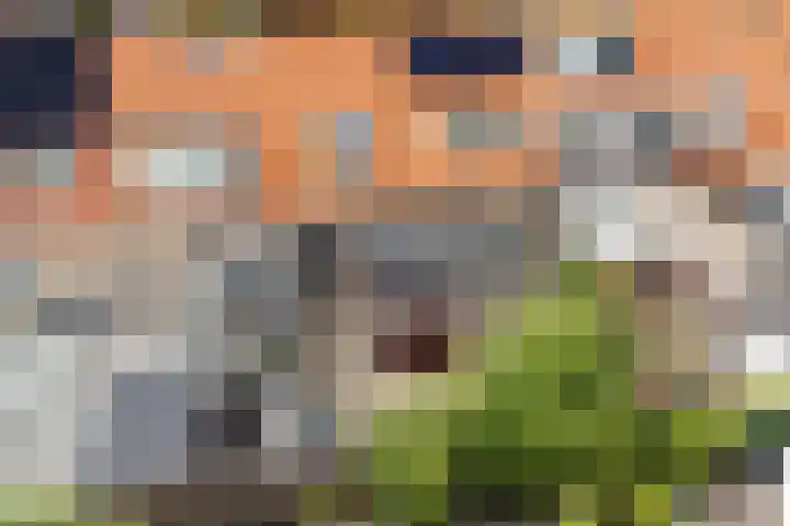 Wassenberghstraat 8 Sneek thumbnail 28
