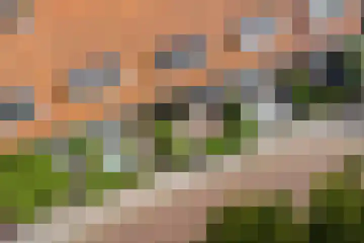 Wassenberghstraat 8 Sneek thumbnail 31